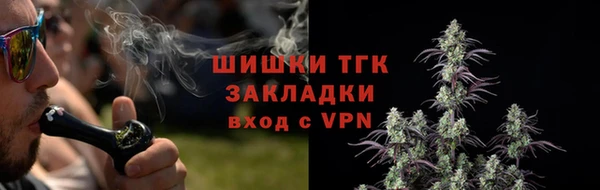 дурь Богородицк
