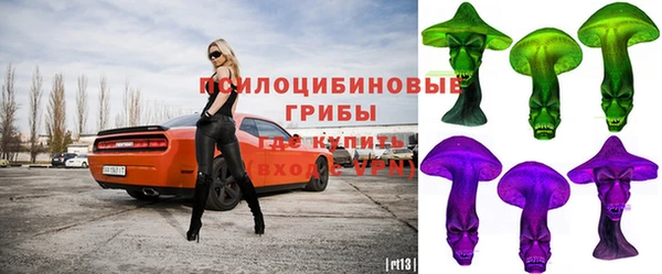 ALPHA PVP Богданович
